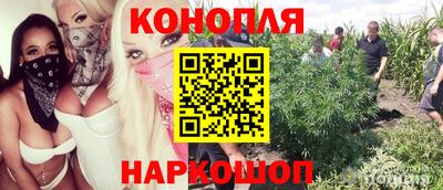 дурь Пыть-Ях